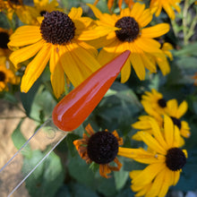 Load image into Gallery viewer, Hello Pumpkin
